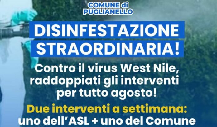 disinfestazione puglianello