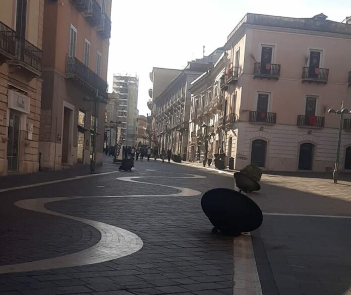 Danni vasi corso garibaldi WhatsApp Image 2025-09-18 at 08.09.13