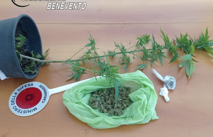 carabinieri droga
