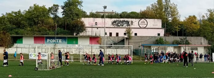 ASI Cup 2