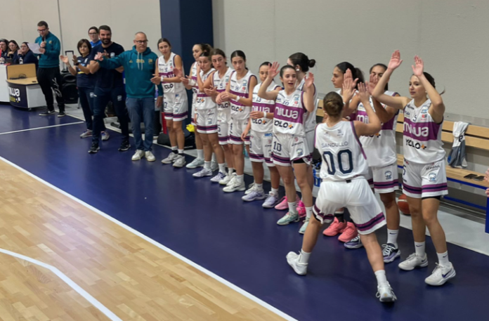 BASKET YOLO CESTISTICA