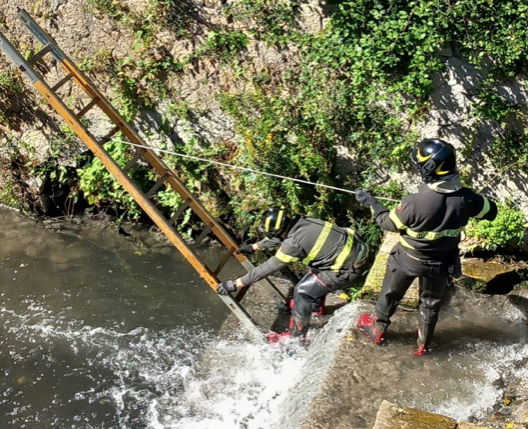 Vigili del fuoco recupero cagnolinoSchermata 2025-10-11 alle 14.32.11