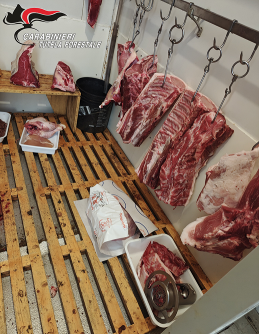 Carne sequestrata