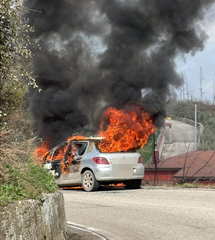 Auto in fiamme WhatsApp Image 2026-02-16 at 15.19.18 (1)