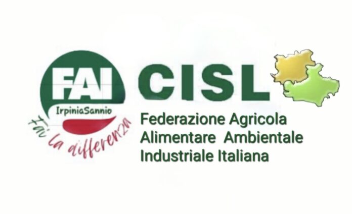 FAI CISL