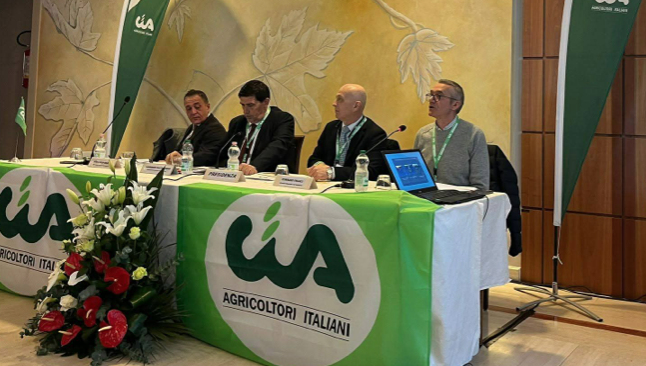 Schermata 2026-02-26 alle 19.26.33