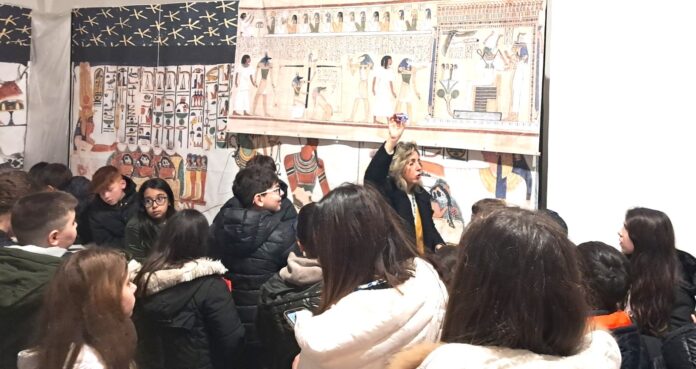 Visite scuole Museo Arcos 602f04d8-216e-4345-8bea-ff3e81470939