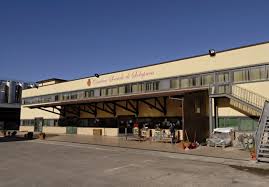 Cantine Solopaca