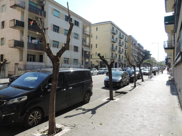01_potatura_alberi_viale_Mellusi