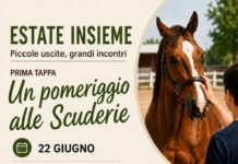Al via il progetto del Rotaract Club di Benevento ‘Estate Insieme – Piccole uscite, grandi incontri’ dedicato all’inclusione e alla socialità.