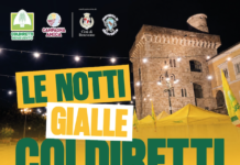 Le “Notti Gialle” di Coldiretti a Benevento: tre giorni di gusto, musica e Made in Italy